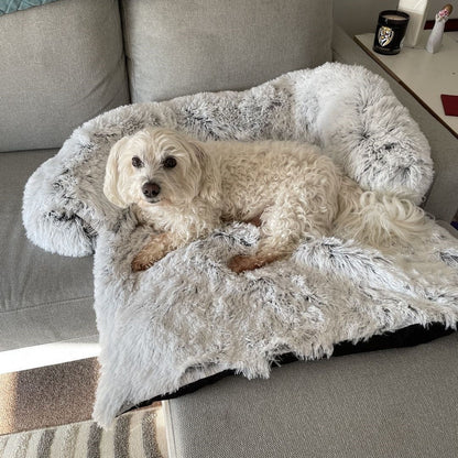 Dog Bed